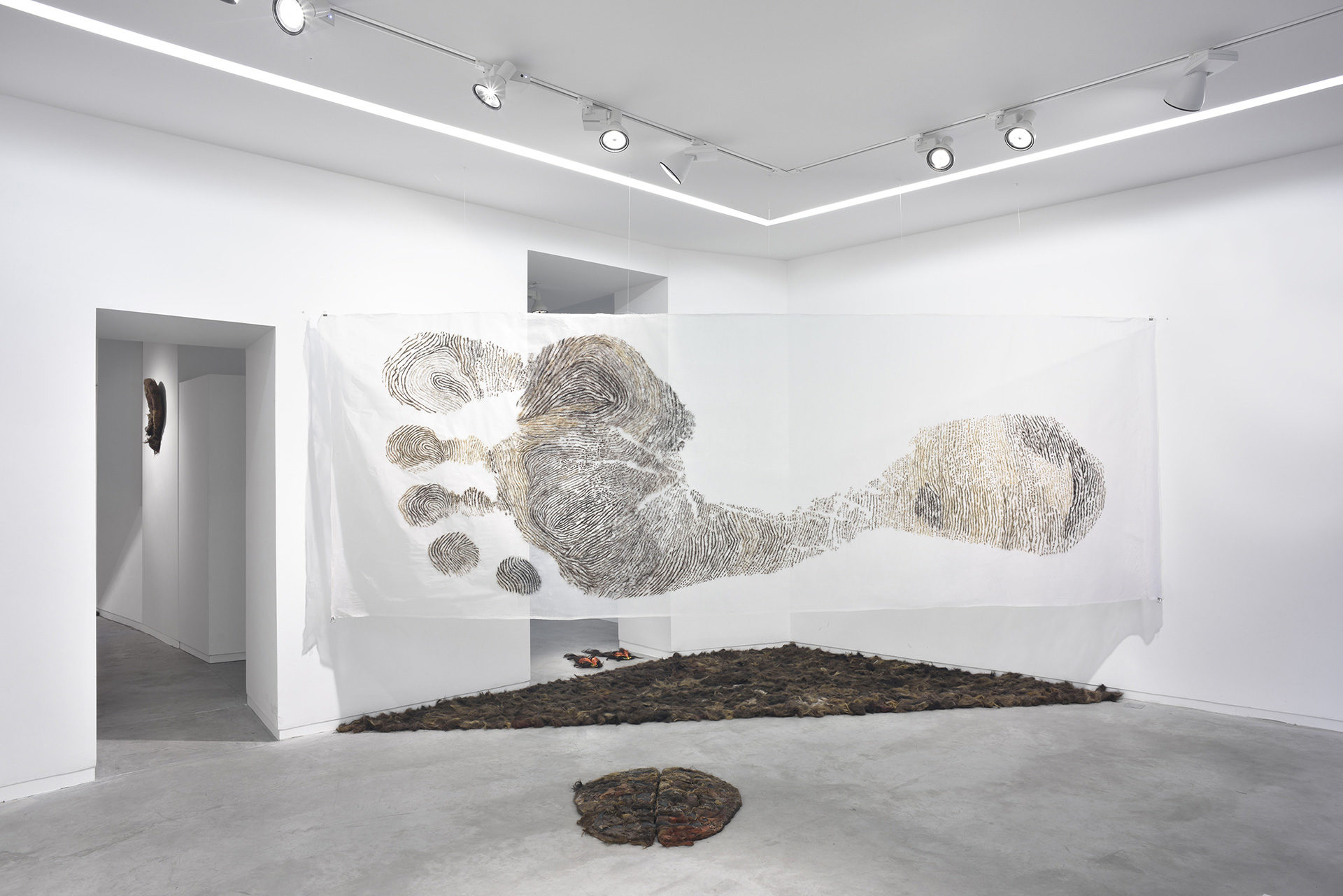 À un cheveu de l’usage