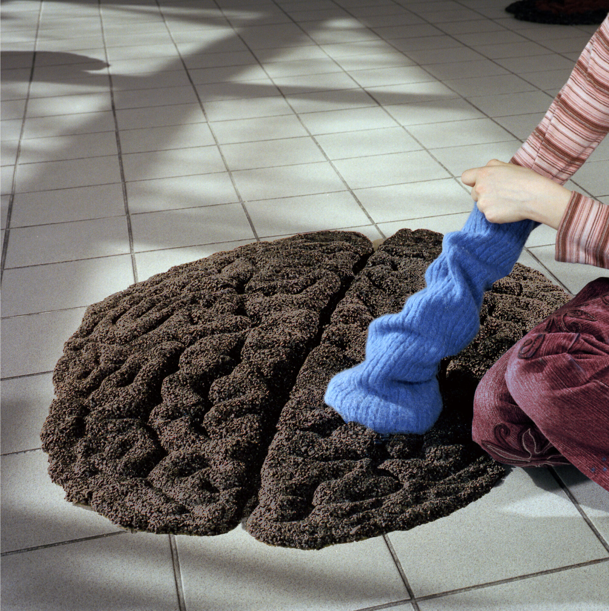 5 cervelle à manche imp